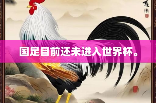国足目前还未进入世界杯。