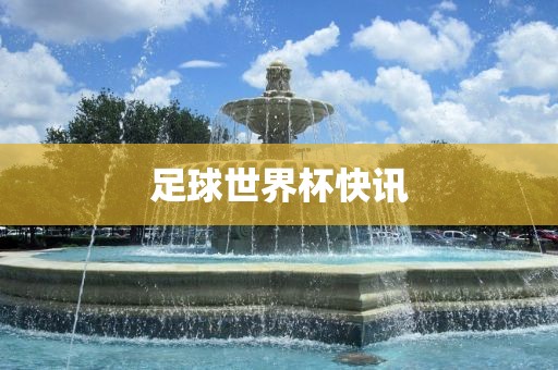 足球世界杯快讯眉山市正发家政服务有限公司