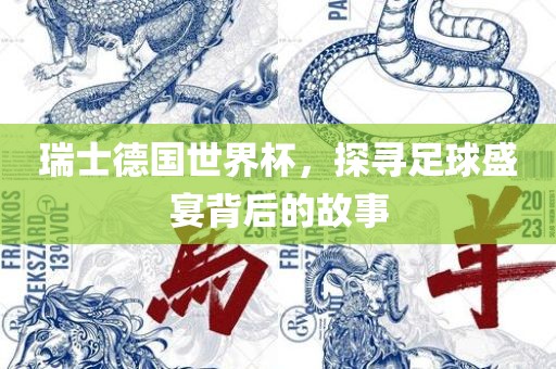 瑞士德国世界杯，探寻足球盛宴背后的故事