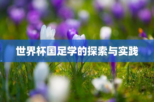 世界杯国足学的探索与实践