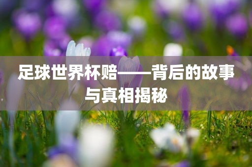 足球世界杯赔——背眉山市正发家政服务有限公司后的故事与真相揭秘