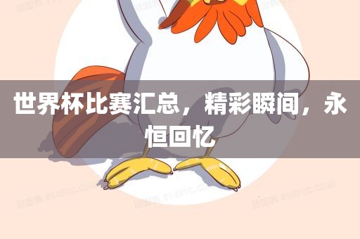 世界杯比赛汇总，精彩瞬间，永恒回忆眉山市正发家政服务有限公司