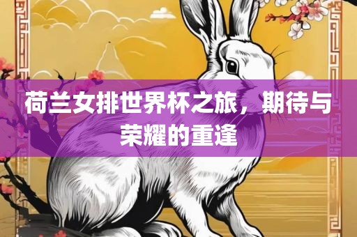 荷兰女排世界杯之旅，期待与荣耀的重逢眉山市正发家政服务有限公司