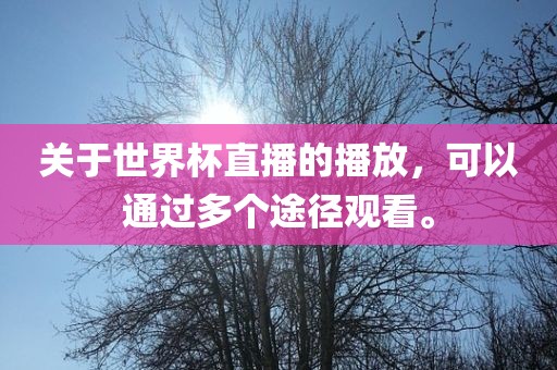 关于世界杯直播的播放，可以通过多个途径观眉山市正发家政服务有限公司看。