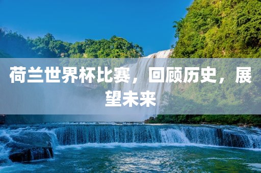 荷兰世界杯比赛，回顾历史，眉山市正发家政服务有限公司展望未来