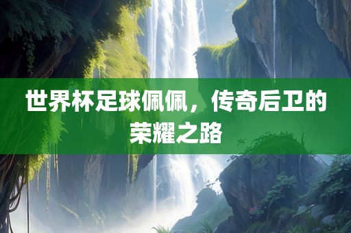 世界杯足球佩佩，传奇后卫的荣耀之路眉山市正发家政服务有限公司