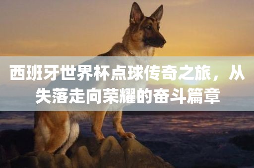 西班牙世界杯点球传奇之旅，从失落走向荣耀的奋斗篇章眉山市正发家政服务有限公司