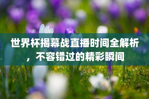 世界杯揭幕战直播时间全解析，不容错过的精彩瞬间