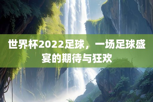 世界杯2022足球，一场足球盛宴的期待与狂欢眉山市正发家政服务有限公司