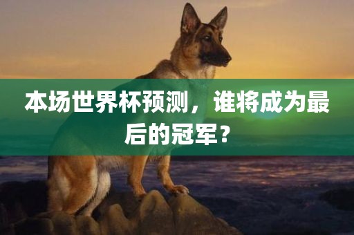 本场世界杯预测，谁将成为最后的冠军？