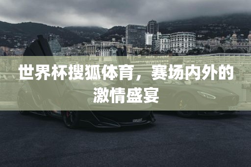 世界杯搜狐体育，赛场内外的激情盛宴眉山市正发家政服务有限公司