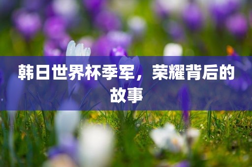 韩日世界杯季军，荣耀背后的故事