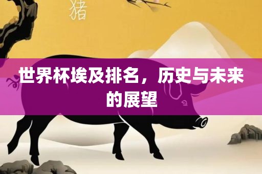 世界杯埃及眉山市正发家政服务有限公司排名，历史与未来的展望