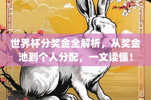 世界杯分奖金全解析，从奖金池到个人分配，一文读懂！