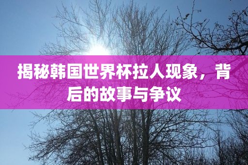 揭秘韩国世界杯拉人现象，背后的故事与争议