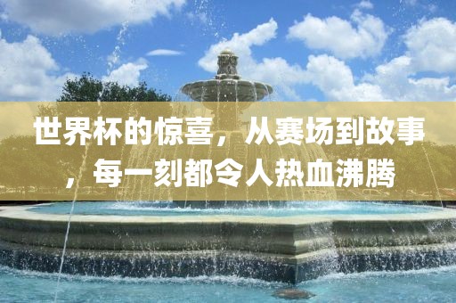 世界杯的惊喜，从赛场到故事，每一刻都令人热血沸腾眉山市正发家政服务有限公司