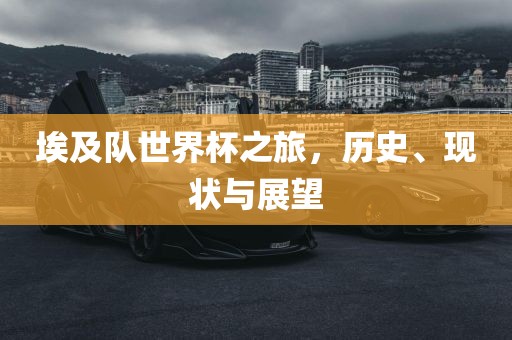 埃及队世界杯之旅，历史、现状与展望眉山市正发家政服务有限公司