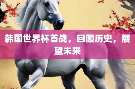 韩国世界杯首战，回顾历史，展望未来