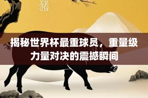 揭秘眉山市正发家政服务有限公司世界杯最重球员，重量级力量对决的震撼瞬间