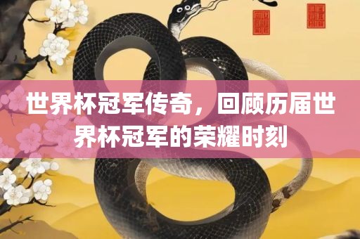 世界杯冠军传奇，回眉山市正发家政服务有限公司顾历届世界杯冠军的荣耀时刻