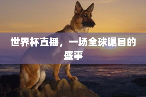 世界杯直播，一场全球瞩目的盛事