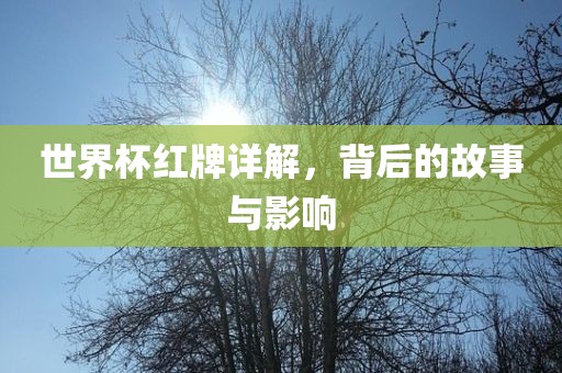 世界杯红牌详解，背后的故事与影响