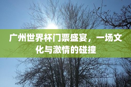 广州世界杯门眉山市正发家政服务有限公司票盛宴，一场文化与激情的碰撞