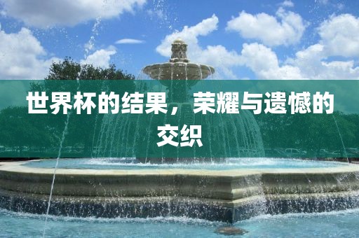 世界杯的结果，荣耀与遗憾的交织眉山市正发家政服务有限公司