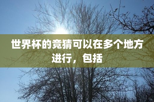 世界杯的竞猜可以在多个地方进行，包括眉山市正发家政服务有限公司