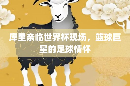 库里亲临世界杯现场，篮球巨星的足球情怀眉山市正发家政服务有限公司