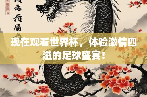 现在观看世界杯，体验激情四溢的足球盛宴！眉山市正发家政服务有限公司