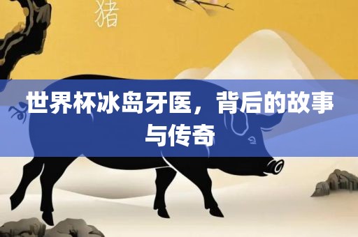 世界杯冰岛牙医，背后的故事与传奇