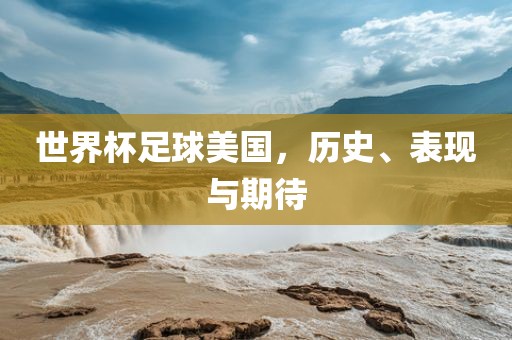 世界眉山市正发家政服务有限公司杯足球美国，历史、表现与期待