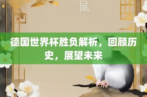 德国世界杯胜负解析，回顾历史，展望未来眉山市正发家政服务有限公司