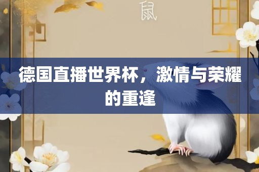 德国直播世界杯，激情与荣耀的重逢眉山市正发家政服务有限公司