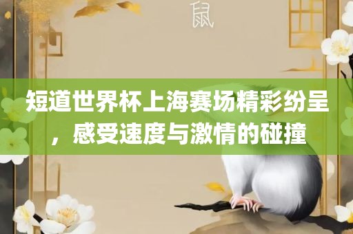 zhengliyun 第5页