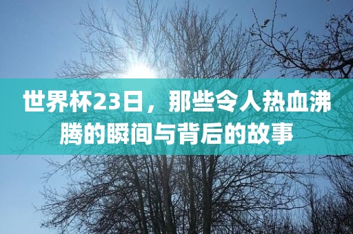 世界杯23日，那些令人热血沸腾的瞬间与背后的故事