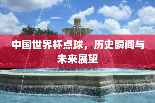 中国世界杯点球，历史瞬间与未来展望眉山市正发家政服务有限公司