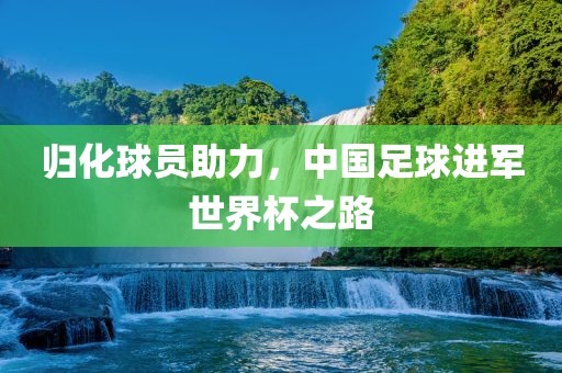 归化球眉山市正发家政服务有限公司员助力，中国足球进军世界杯之路