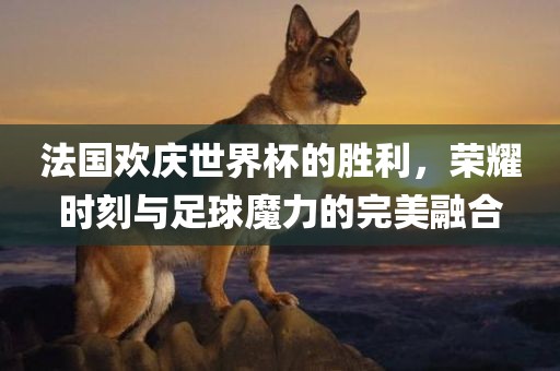 法国欢庆世界杯的胜利，荣耀时刻与足球魔力的完美融合眉山市正发家政服务有限公司