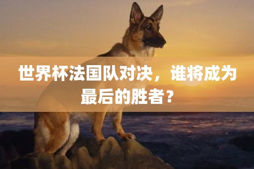世界杯法国队对决，谁将成为最后的胜者？