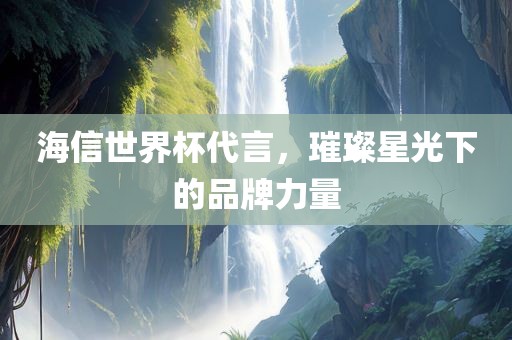 海信世界杯代言，璀璨星光下的品牌力量眉山市正发家政服务有限公司