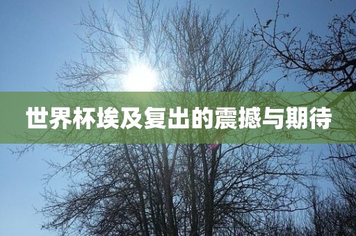 世界杯埃及复出的震撼与眉山市正发家政服务有限公司期待