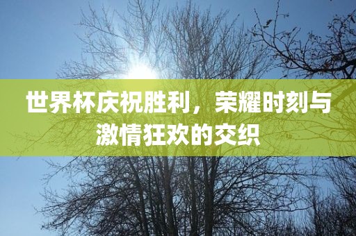世界杯庆祝胜利，荣耀时刻与激情眉山市正发家政服务有限公司狂欢的交织