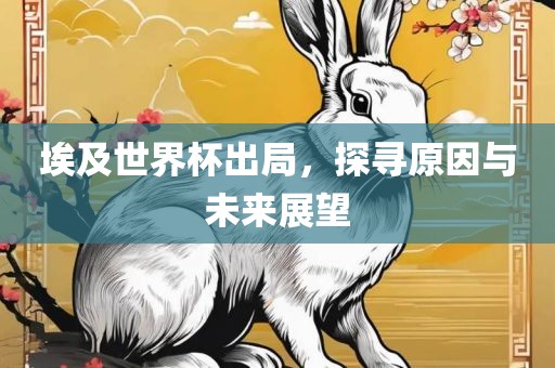 埃及世界杯出局，探寻原因与未来展望眉山市正发家政服务有限公司
