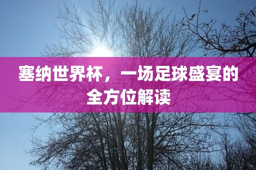 塞纳世界杯，一场足球盛宴的全方位解读