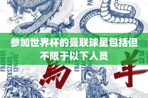 参加世界杯的曼联球星包括但不限于以下人员