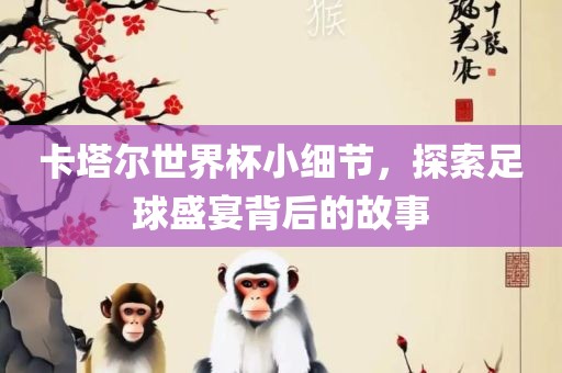 卡塔尔世界杯小细节，探索足球盛宴背后的故事
