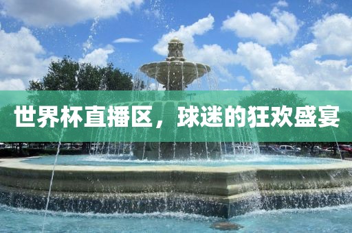 世界杯直播区，球迷的狂欢盛宴