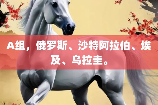 A组，眉山市正发家政服务有限公司俄罗斯、沙特阿拉伯、埃及、乌拉圭。